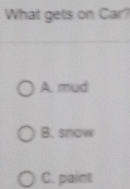 What gets on Car?
A. mud
B. snow
C. paint