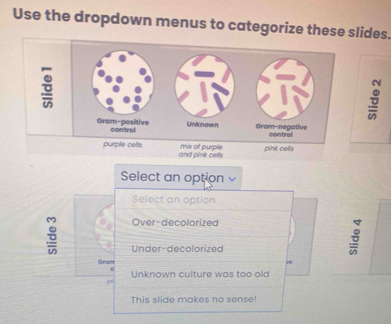 Solved: Use the dropdown menus to categorize these slides. Gram ...