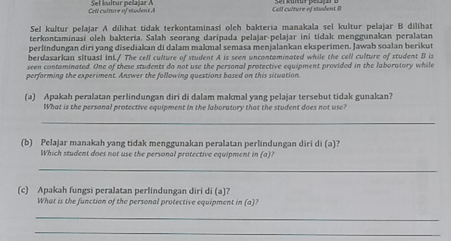 Sel kultur pelajar A Sei kültür peiajär B 
Cell culture of student A Cell culture of student B 
Sel kultur pelajar A dilihat tidak terkontaminasi olch bakteria manakala sel kultur pelajar B dilihat 
terkontaminasi oleh bakteria. Salah seorang daripada pelajar-pelajar ini tidak menggunakan peralatan 
perlindungan diri yang disediakan di dalam makmal semasa menjalankan eksperimen. Jawab soalan berikut 
berdasarkan situasi ini./ The cell culture of student A is seen uncontaminated while the cell culture of student B is 
seen contaminated. One of these students do not use the personal protective equipment provided in the laboratory while 
performing the experiment. Answer the following questions based on this situation. 
(a) Apakah peralatan perlindungan diri di dalam makmal yang pelajar tersebut tidak gunakan? 
What is the personal protective equipment in the laboratory that the student does not use? 
_ 
(b) Pelajar manakah yang tidak menggunakan peralatan perlindungan diri di (a)? 
Which student does not use the personal protective equipment in (a)? 
_ 
(c) Apakah fungsi peralatan perlindungan diri di (a)? 
What is the function of the personal protective equipment in (a)? 
_ 
_