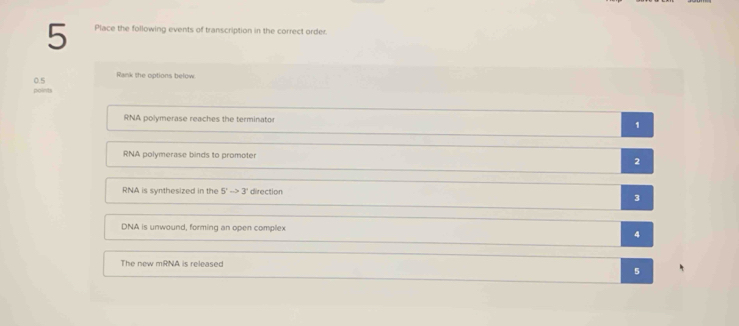 Place the following events of transcription in the correct order.
Rank the options below
0.5 points
RNA polymerase reaches the terminato
1
RNA polymerase binds to promoter 2
RNA is synthesized in the 5^nto 3^n direction
3
DNA is unwound, forming an open complex
4
The new mRNA is released
5