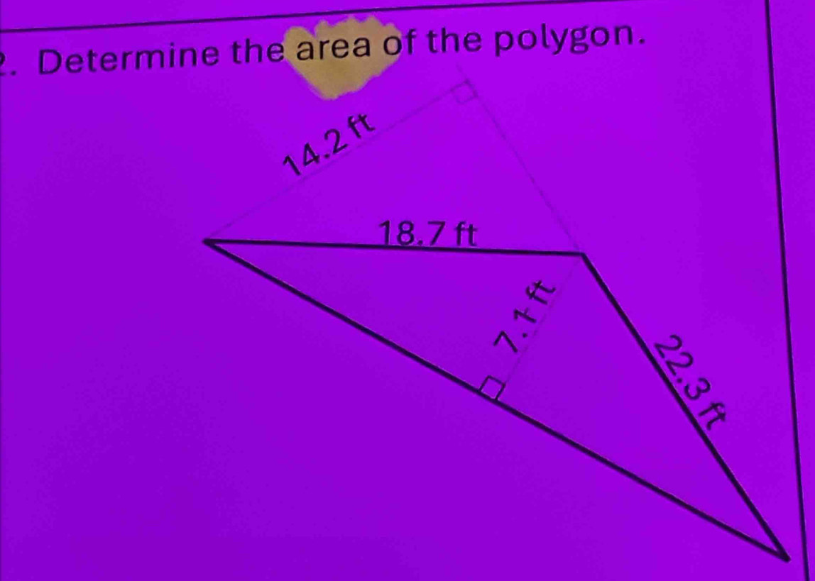 Determine the area of the polygon.