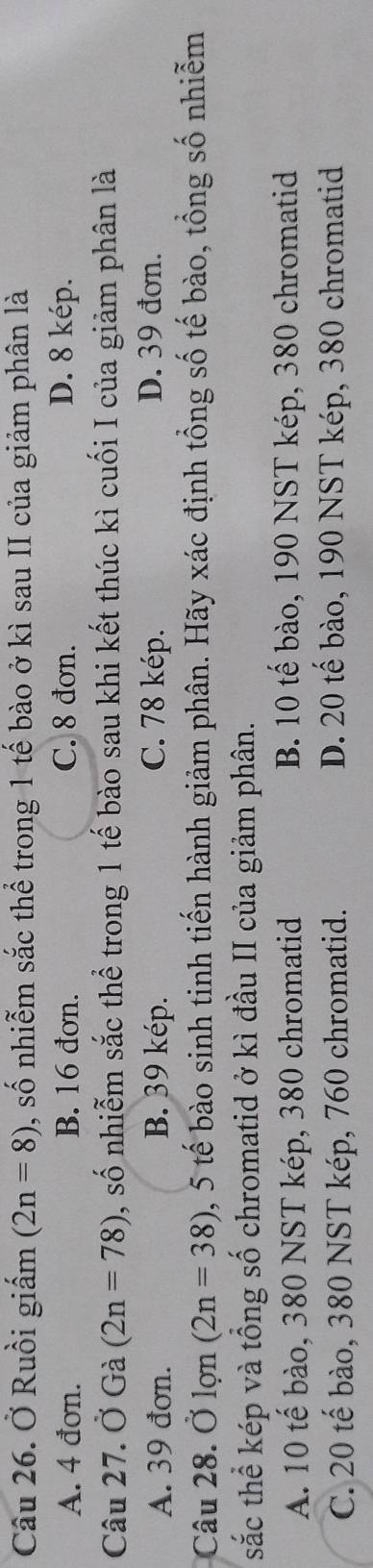 Ở Ruồi giấm (2n=8) , số nhiễm sắc thể trong 1 tế bào ở kì sau II của giảm phân là
A. 4 đơn. B. 16 đơn. C. 8 đơn. D. 8 kép.
Câu 27. Ở Gà (2n=78) , số nhiễm sắc thể trong 1 tế bào sau khi kết thúc kì cuối I của giảm phân là
A. 39 đơn. B. 39 kép. C. 78 kép. D. 39 đơn.
Câu 28. Ở lợn (2n=38) 0, 5 tế bào sinh tinh tiến hành giảm phân. Hãy xác định tổng số tế bào, tổng số nhiễm
sắc thể kép và tổng số chromatid ở kì đầu II của giảm phân.
A. 10 tế bào, 380 NST kép, 380 chromatid B. 10 tế bào, 190 NST kép, 380 chromatid
C. 20 tế bào, 380 NST kép, 760 chromatid. D. 20 tế bào, 190 NST kép, 380 chromatid