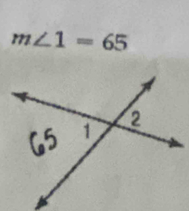 m∠ 1=65