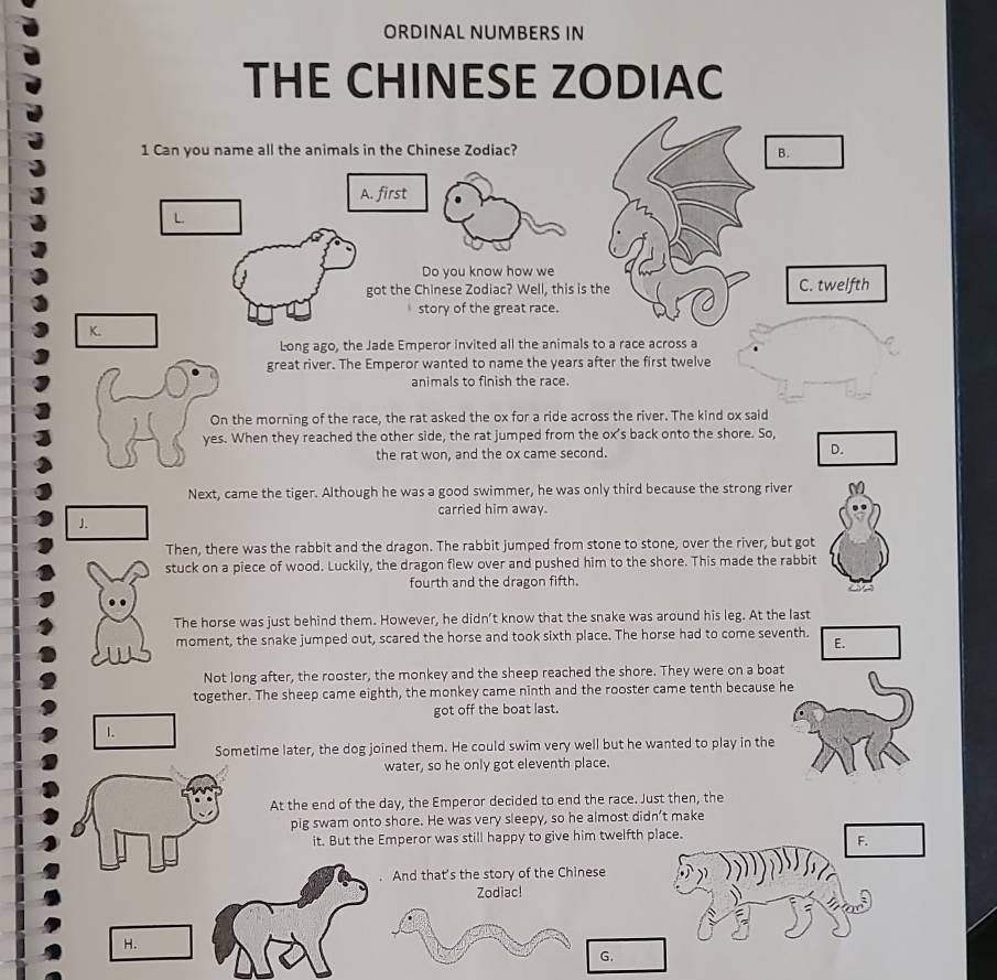 ORDINAL NUMBERS IN
THE CHINESE ZODIAC
1 Can you name all the animals in the Chinese Zodiac? B.
A. first
L
Do you know how we
got the Chinese Zodiac? Well, this is the C. twelfth
story of the great race.
K.
Long ago, the Jade Emperor invited all the animals to a race across a
great river. The Emperor wanted to name the years after the first twelve
animals to finish the race
On the morning of the race, the rat asked the ox for a ride across the river. The kind ox said
yes. When they reached the other side, the rat jumped from the ox's back onto the shore. So,
the rat won, and the ox came second. D.
Next, came the tiger. Although he was a good swimmer, he was only third because the strong river M
carried him away.
J.
Then, there was the rabbit and the dragon. The rabbit jumped from stone to stone, over the river, but got
stuck on a piece of wood. Luckily, the dragon flew over and pushed him to the shore. This made the rabbit
fourth and the dragon fifth.
The horse was just behind them. However, he didn’t know that the snake was around his leg. At the last
moment, the snake jumped out, scared the horse and took sixth place. The horse had to come seventh. E.
Not long after, the rooster, the monkey and the sheep reached the shore. They were on a boat
together. The sheep came eighth, the monkey came ninth and the rooster came tenth because he
got off the boat last.
1.
Sometime later, the dog joined them. He could swim very well but he wanted to play in the
water, so he only got eleventh place.
At the end of the day, the Emperor decided to end the race. Just then, the
pig swam onto shore. He was very sleepy, so he almost didn’t make
it. But the Emperor was still happy to give him twelfth place.
F.
. And that’s the story of the Chinese
Zodiac!
H.
G.