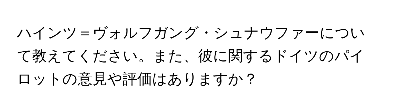 ハインツ＝ヴォルフガング・シュナウファーについて教えてください。また、彼に関するドイツのパイロットの意見や評価はありますか？