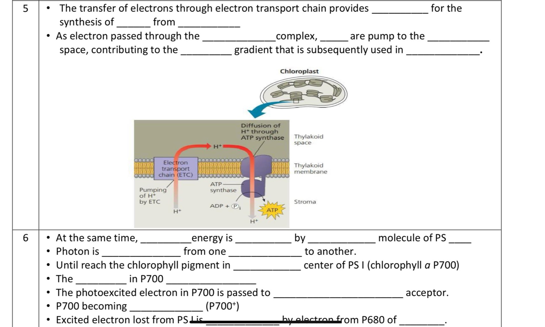 The transfer of electrons through electron transport chain provides _for the
synthesis of_ from_
As electron passed through the _complex, _are pump to the_
space, contributing to the _gradient that is subsequently used in_
·
6 At the same time, _energy is_ by _molecule of PS_
Photon is _from one _to another.
Until reach the chlorophyll pigment in _center of PS I (chlorophyll a P700)
The _in P700_
The photoexcited electron in P700 is passed to _acceptor.
P700 becoming _ (P700^+)
Excited electron lost from PSL is _by electron from P680 of_
.