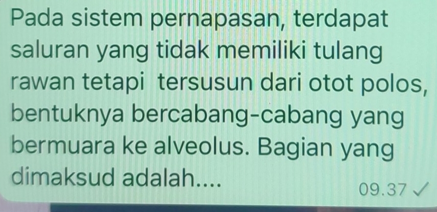 Pada sistem pernapasan, terdapat 
saluran yang tidak memiliki tulang 
rawan tetapi tersusun dari otot polos, 
bentuknya bercabang-cabang yang 
bermuara ke alveolus. Bagian yang 
dimaksud adalah....
09.37