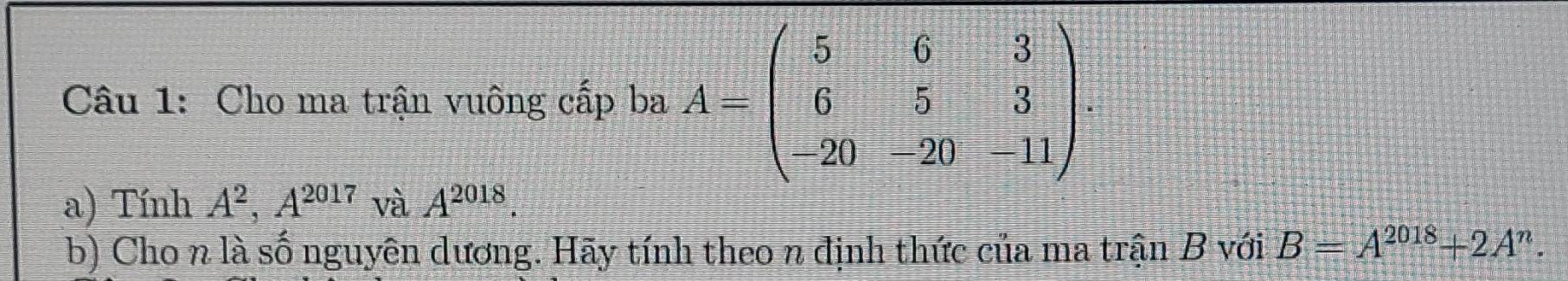 Cho ma trận vuông cấp ba A=beginpmatrix 5&6&3 6&5&3 -20&-20&-11endpmatrix. 
a) Tính A^2, A^(2017) và A^(2018). 
b) Cho n là số nguyên dương. Hãy tính theo n định thức của ma trận B với B=A^(2018)+2A^n.