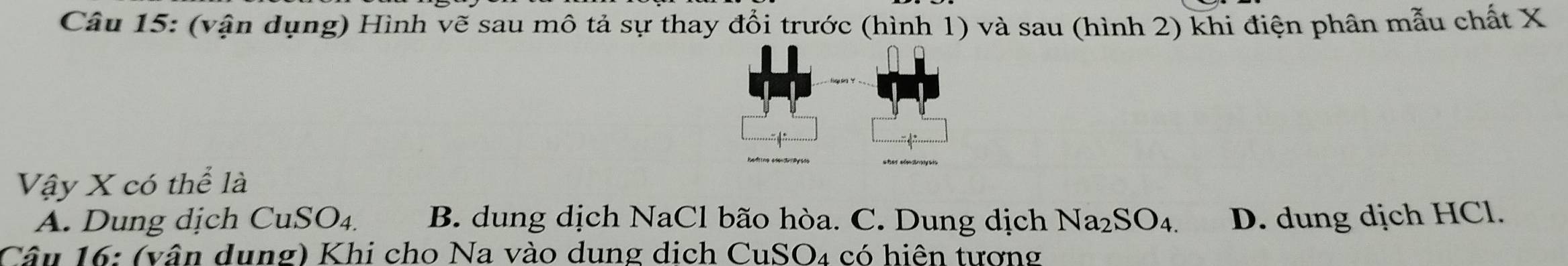 (vận dụng) Hình vẽ sau mô tả sự thay đổi trước (hình 1) và sau (hình 2) khi điện phân mẫu chất X
Vậy X có thể là
A. Dung dịch CuSO₄ B. dung dịch NaCl bão hòa. C. Dung dịch Na_2SO_4. D. dung dịch HCl.
Câu 16: (vân dung) Khi cho Na vào dung dịch CuSO4 có hiện tương