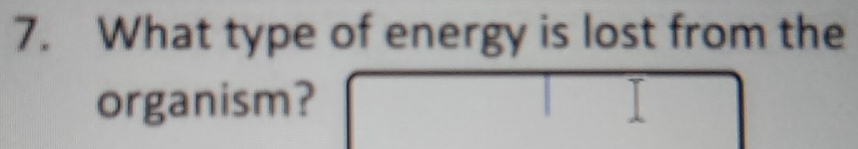 What type of energy is lost from the 
organism?