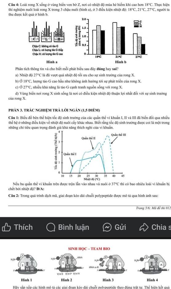 Loài rong X sống ở vùng biển ven bờ Z, nơi có nhiệt độ mùa hè hiểm khi cao hơn 18°C.. Thực hiện
thí nghiệm nuôi loài rong X trong 3 chậu nuôi (hình a), ở 3 điều kiện nhiệt độ: 16° 18°C,21°C,27°C , người ta
thu được kết quả ở hình b.
Phân tích thông tin và cho biết mỗi phát biểu sau đây đúng hay sa?
a) Nhiệt độ 27°C là đã vượt quá nhiệt độ tổi ưu cho sự sinh trưởng của rong X.
b) Ở 18°C C, lượng tảo G cao hầu như không ảnh hưởng tới sự phát triển của rong X.
c) 027°C C, nhiều khả năng là táo G cạnh tranh nguồn sống với rong X.
d) Vùng biển nơi rong X sinh sống là nơi có điều kiện nhiệt độ thuận lợi nhất đối với sự sinh trưởng
của rong X.
phàn 3. trác ngHIỆM trẬ lời ngản (1,5 điẻm)
Câu 1: Biểu đồ bên thể hiện tốc độ sinh trưởng của các quần thể vi khuẩn I, II và III đã biến đổi qua nhiều
thế hệ ở những điều kiện về nhiệt độ nuôi cấy khác nhau. Biết rằng tốc độ sinh trưởng được coi là một trong
những chỉ tiêu quan trọng đánh giá khá năng thích nghi của vi khuân.
. 
Quần thể III
Quần thể II
3
ξ 2  Quần thể I
1
0
25 30 35 40 45
10 is 20 Nhiệt độ (°C)
Nếu ba quần thể vi khuẩn trên được trộn lẫn vào nhau và nuôi ở 37°C thì có bao nhiêu loài vi khuần bị
chết bởi nhiệt độ? Đ/A:
Câu 2: Trong quá trình dịch mã, giai đoạn kéo dài chuỗi polypeptide được mô tả qua hình ảnh sau:
Trang 5/6; Mã để thi 012
Thích Bình luận Gửi Chias
SINH HQC - TEAM BIO
Hình 3 Hình 4
Hãy sẵn xến các hình mô tả các giai đoan kéo dài chuỗi polypeptide theo đúng trật tư. Thể hiện kết quả