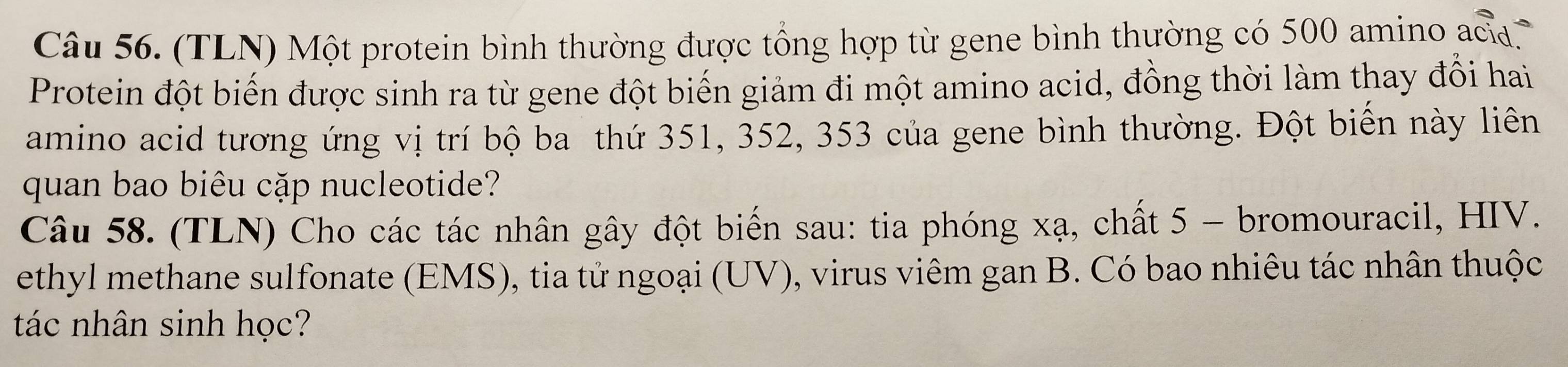 (TLN) Một protein bình thường được tổng hợp từ gene bình thường có 500 amino ah 
Protein đột biến được sinh ra từ gene đột biến giảm đi một amino acid, đồng thời làm thay đổi hai 
amino acid tương ứng vị trí bộ ba thứ 351, 352, 353 của gene bình thường. Đột biển này liên 
quan bao biêu cặp nucleotide? 
Câu 58. (TLN) Cho các tác nhân gây đột biến sau: tia phóng xạ, chất 5 - bromouracil, HIV. 
ethyl methane sulfonate (EMS), tia tử ngoại (UV), virus viêm gan B. Có bao nhiêu tác nhân thuộc 
tác nhân sinh học?