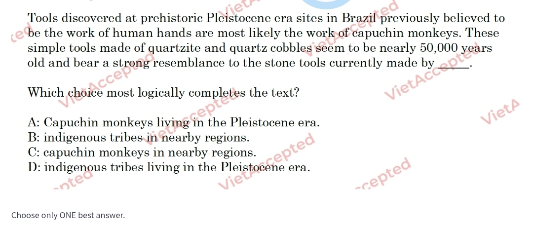 Tools discovered at prehistoric Pleistocene era sites in Brazil previously believed to
be the work of human hands are most likely the work of capuchin monkeys. These
simple tools made of quartzite and quartz cobbles seem to be nearly 50,000 years
old and bear a strong resemblance to the stone tools currently made by .
Which choice most logically completes the text?
A: Capuchin monkeys living in the Pleistocene era.
VietA
B: indigenous tribes in nearby regions.
C: capuchin monkeys in nearby regions.
D: indigenous tribes living in the Pleistocene era.
scepted
Choose only ONE best answer.