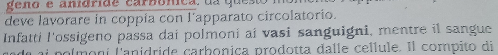 geno é anídride carbónica. da q u 
deve lavorare in coppia con l’apparato circolatorio. 
Infatti l'ossigeno passa dai polmoni ai vasi sanguigni, mentre il sangue 
a a i p o lmoni lanidride carbonica prodotta dalle cellule. Il compito di