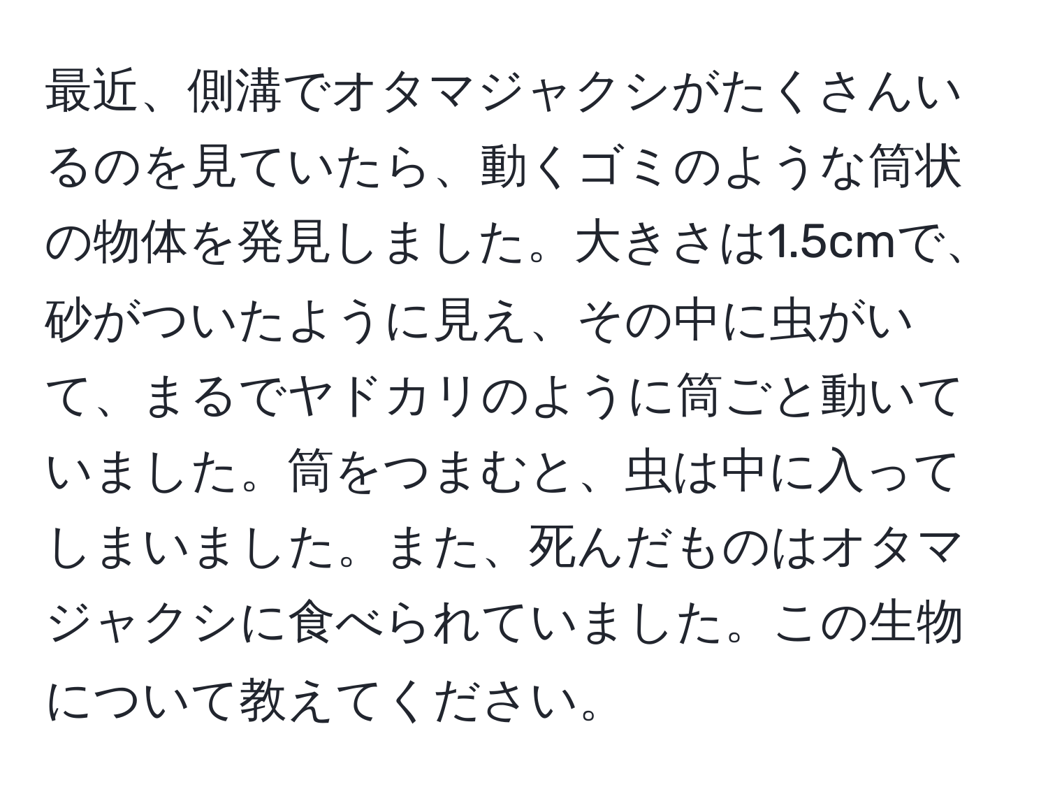 最近、側溝でオタマジャクシがたくさんいるのを見ていたら、動くゴミのような筒状の物体を発見しました。大きさは1.5cmで、砂がついたように見え、その中に虫がいて、まるでヤドカリのように筒ごと動いていました。筒をつまむと、虫は中に入ってしまいました。また、死んだものはオタマジャクシに食べられていました。この生物について教えてください。