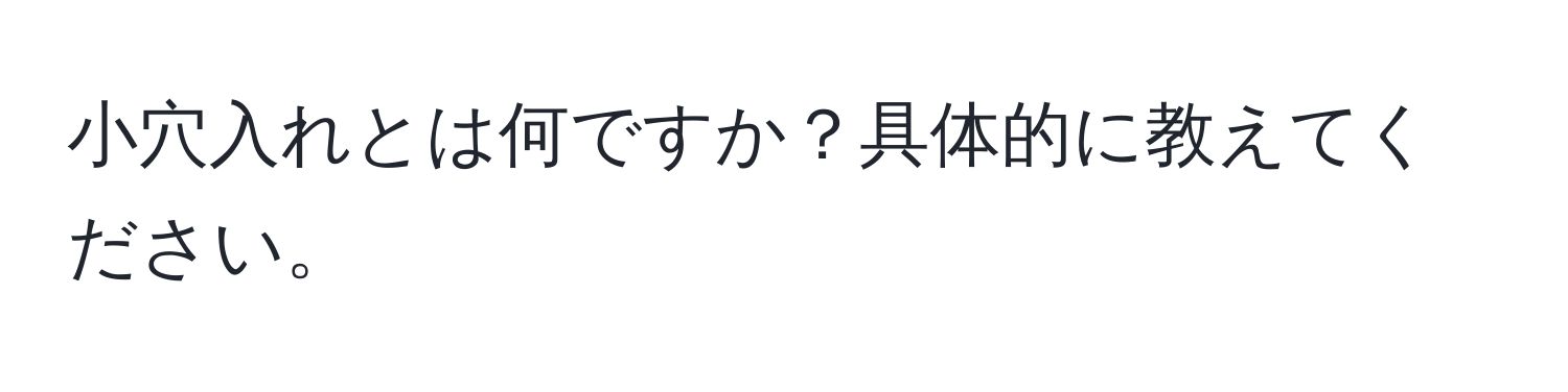 小穴入れとは何ですか？具体的に教えてください。