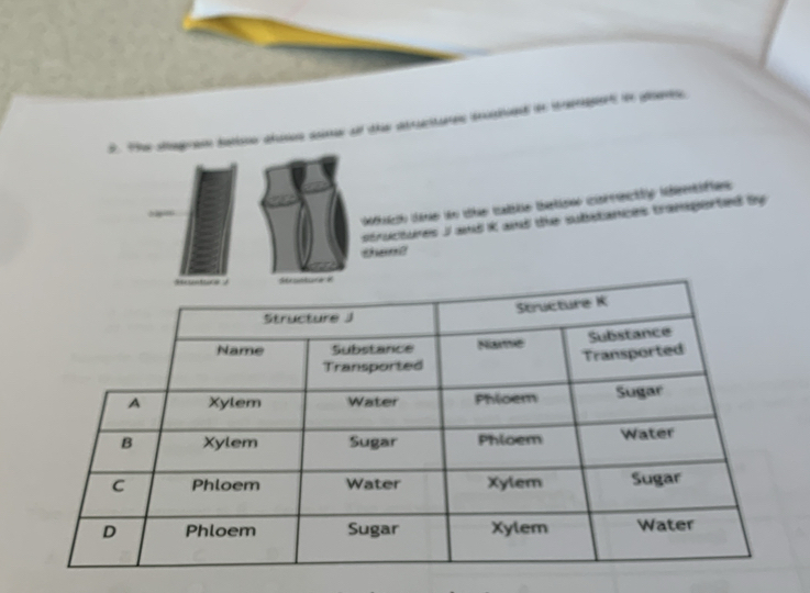 Th segam datione alamoe sme of the abuctare drogind on ipet te gee 
Wihnich cane ion thie sabilie tbartioin cisrrcttly hbleentifiens 
structures I and ik and the substances tramperted by 
than?