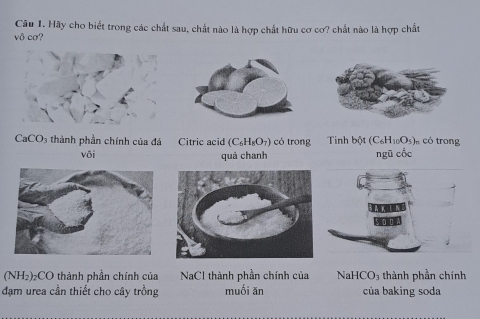 Hãy cho biết trong các chất sau, chất nào là hợp chất hữu cơ cơ? chất nào là hợp chất 
vô cơ? 
CaCO₃ thành phần chính của đá Citric acid (C₆H₈O₇) có trong Tinh bột (C₆H₁₀O₅)n có trong 
vôi quá chanh ngũ cốc 
(NH₂)₂CO thành phần chính của NaCl thành phần chính của NaHCO₃ thành phần chính 
đạm urea cần thiết cho cây trồng muối ăn của baking soda