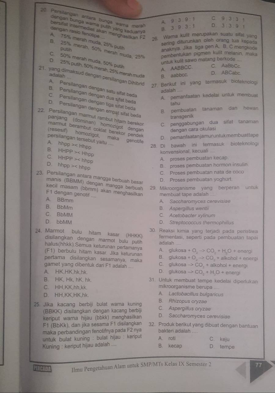 Persilangan antara bunga wama merat B. 3:9:3:1
A. 9:3:9:1 C. 9:3:3 `
dengan bunga wama putih yang keduany
D. 3:3:9:1
bersifät intermedlet akan menghasilkan F2 26. Wama kulit merupakan suatu sifal yang
dengan rasio fenotipe....
A. 75% merah muda, 25% putih
sering diturunkan oleh orang tua kepada
anaknya. Jika tiga gen A. B. C mengkode
B. 25% merah, 50% merah muda, 25% pembentukan pigmen kulit melanin, maka
putin
C. 50% merah muda, 50% puth
untuk kulit sawo matang berkode
A. AABBCC. C. AaBbCc.
D. 25% putih, 50% merah, 25% merah muda B. aabbcc.
D. ABCabc.
21. yang dimaksud dengan persilangan Dihibrid 27. Berikut ini yang termasuk bioteknolog
adalah ...
A. Persilangan dengan satu sifat beda
adalah ..
B. Persilangan dengan dua sifät beda
A. pemanfaatan kedelai untuk membuat
C. Persilangan dengan tiga sifat beda
tahu
B. pembuatan tanaman dan hewan
D. Persilangan dengan empat sifat beda transgenik
22. Persilangan marmul rambut hitam berekor C. penggabungan dua sifat tanaman
panjang (dominan) homozigot dengan dengan cara okulasi
marmut berambut coklat berekor pendek D. pemanfaatan jamuruntukmembuattape
(resesif) homozigot, maka genotife
persilangan tersebut yaitu ....
A. hhpp>
28. Di bawah ini termasuk bioteknologi
B. HHPP>
konvensional, kecuali ....
C. HHPP>
A. proses pembuatan kecap.
D. hhpp>
B. proses pembuatan hormon insulin.
C. Proses pembuatan nata de coco
23. Persilangan antara mangga berbuah besar
D. Proses pembuatan yoghurt.
manis (BBMM) dengan mangga berbuah 29. Mikroorganisme yang berperan untuk
kecil masam (bbmm) akan menghasilkan membuat tape adalah ....
F1 dengan genotif ....
A. BBmm
A. Saccharomyces cerevisiae
B. BbMm B. Aspergillus wentii
C. BbMM C. Acetobacter xylinum
D. bbMM D. Streptococcus thermophillus
24. Marmot bulu hitam kasar (HHKK) 30. Reaksi kimia yang terjadi pada peristiwa
fermentasi, seperti pada pembuatan tapai
disilangkan dengan marmot bulu putih adalah ....
halus(hhkk).Semua keturunan pertamanya A. glukosa +O_2to CO_2+H_2O+
(F1) berbulu hitam kasar. Jika keturunan energi
pertama disilangkan sesamanya, maka B. glukosa +O_2to CO_2 + alkohol + energi
gamet yang dibentuk dari F1 adalah .... C. glukosa to CO_2+a alkohol + energi
A. HK,HK,hk,hk. D. glukosa to CO_2+H_2O+ energi
B. HK, Hk, hK, hk. 31. Untuk membuat tempe kedelai diperlukan
C. HH,KK,hh,kk.
mikroorganisme berupa ....
D. HH,KK,HK,hk.
A. Lactobacillus bulgaricus
B. Rhizopus oryzae
25. Jika kacang berbiji bulat warna kuning C. Aspergillus oryzae
(BBKK) disilangkan dengan kacang berbiji
keriput warna hijau (bbkk) menghasilkan D. Saccharomyces cerevisiae
F1 (BbKk), dan jika sesama F1 disilangkan 32. Produk berikut yang dibuat dengan bantuan
maka perbandingan fenotifnya pada F2 nya bakteri adalah ....
untuk bulat kuning : bulat hijau : keriput A. roti C. keju
Kuning : keriput hijau adalah .... B. kecap D. tempe
PERCADA llmu Pengetahuan Alam untuk SMP/MTs Kelas IX Semester 2 77