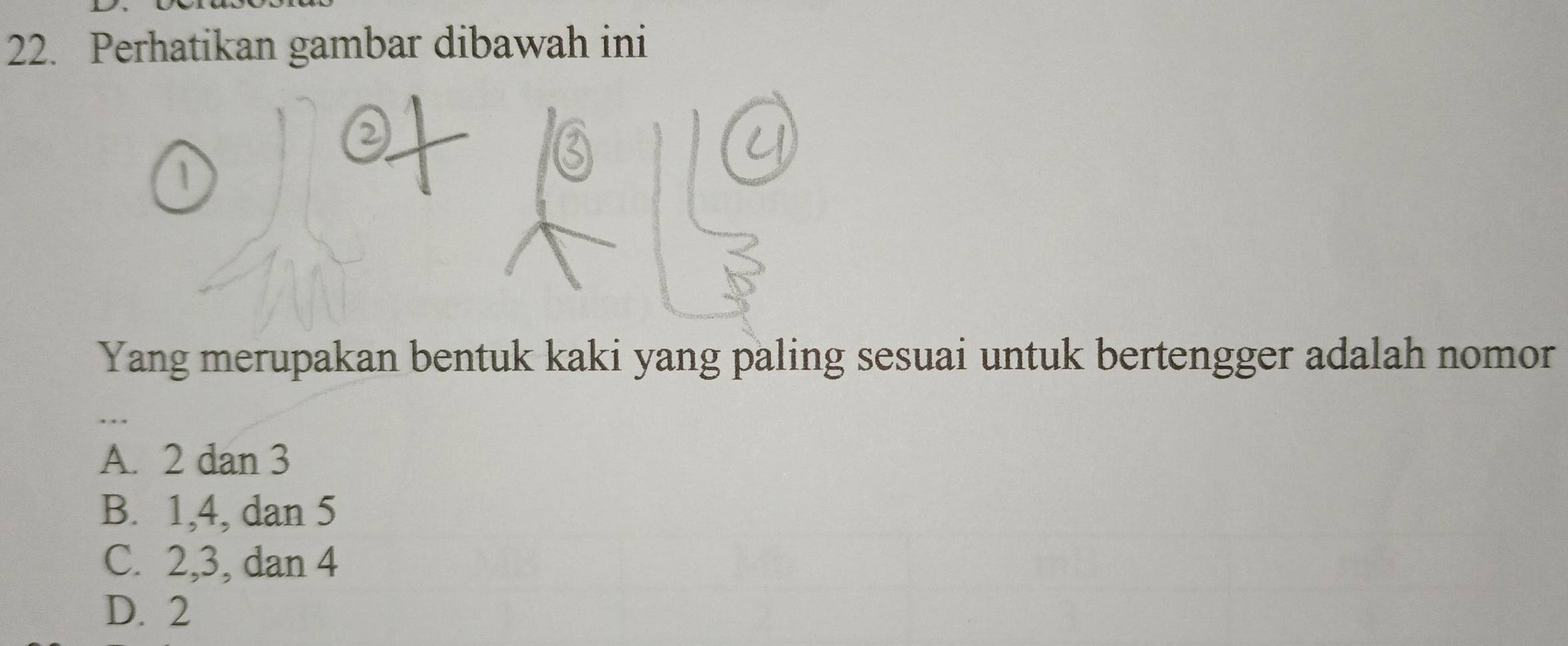 Perhatikan gambar dibawah ini
1
Yang merupakan bentuk kaki yang paling sesuai untuk bertengger adalah nomor
A. 2 dan 3
B. 1, 4, dan 5
C. 2, 3, dan 4
D. 2