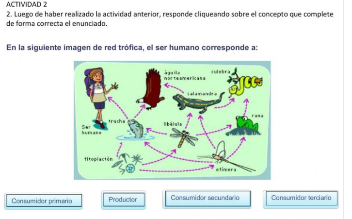 ACTIVIDAD 2
2. Luego de haber realizado la actividad anterior, responde cliqueando sobre el concepto que complete
de forma correcta el enunciado.
En la siguiente imagen de red trófica, el ser humano corresponde a:
Consumidor primario Productor Consumidor secundario Consumidor terciario