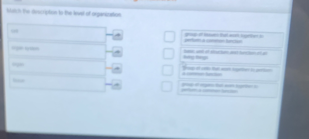 Match the description to the level of organization
98 grtup of lisoves that work lngether to
pertur a comition fction
organ system lving thángs basic unt of stucture ant huncton of at
Srgan rcup of cells that wasn logether to pertur
a commón functién
Isase groep of angare that wark begertiet is
perfarm a comman function