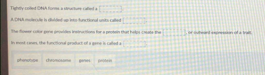Tightly coiled DNA forms a structure called a [□ , 
A DNA molecule is divided up into functional units called [□ &?]][]. 
The flower color gene provides instructions for a protein that helps create the [□ ][]] , or outward expression of a trait 
In most cases, the functional product of a gene is called a □ :..]□ 
phenotype chromosome genes protein