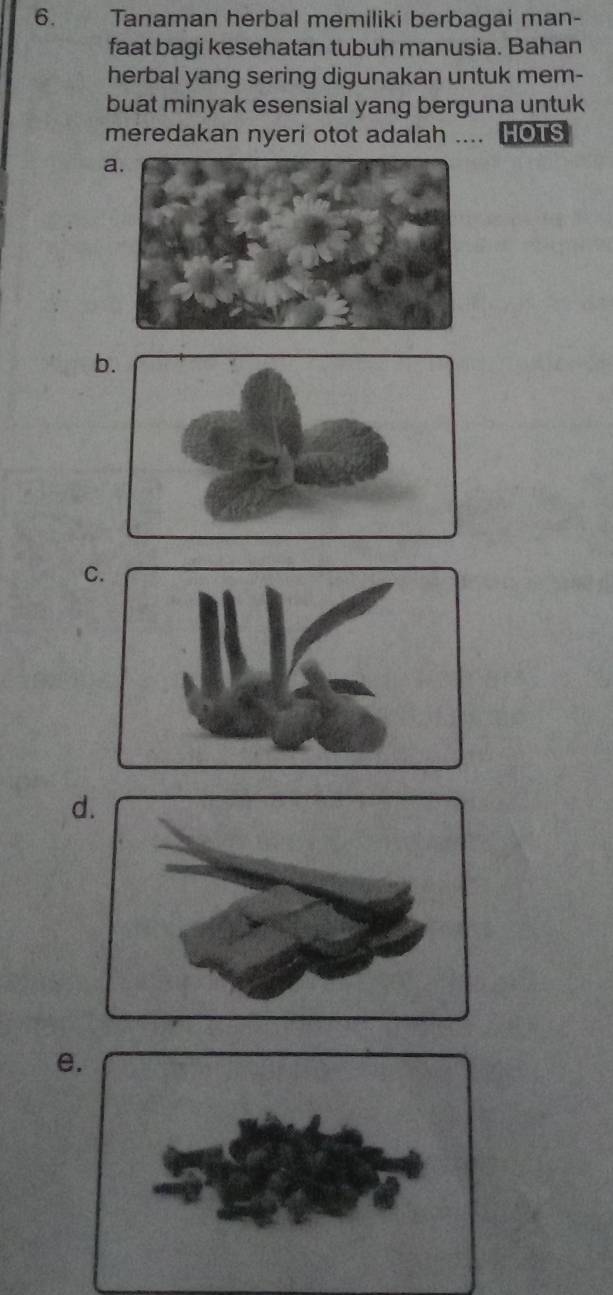 Tanaman herbal memiliki berbagai man- 
faat bagi kesehatan tubuh manusia. Bahan 
herbal yang sering digunakan untuk mem- 
buat minyak esensial yang berguna untuk 
meredakan nyeri otot adalah .... HOTS 
a. 
b 
C 
d 
e