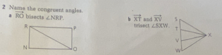 Name the congruent angles
a vector RO bisects ∠ NRP.
b vector XT and vector XV
trisect ∠ SXW.