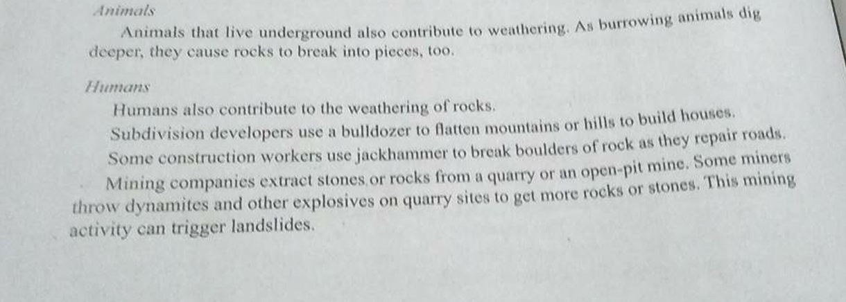 Animals 
Animals that live underground also contribute to weathering. As burrowing animals dig 
deeper, they cause rocks to break into pieces, too. 
Humans 
Humans also contribute to the weathering of rocks. 
Subdivision developers use a bulldozer to flatten mountains or hills to build houses. 
Some construction workers use jackhammer to break boulders of rock as they repair roads. 
Mining companies extract stones or rocks from a quarry or an open-pit mine. Some miners 
throw dynamites and other explosives on quarry sites to get more rocks or stones. This mining 
activity can trigger landslides.