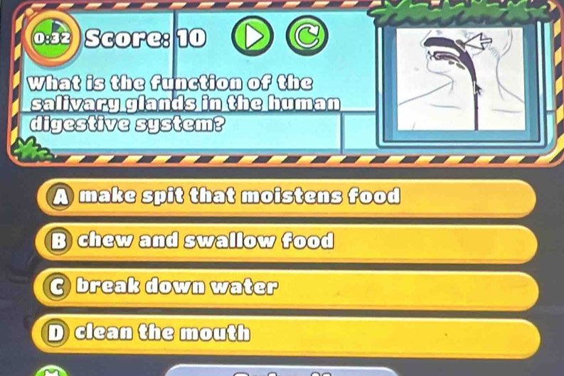 0:32 ) Score: 10
What is the function of the
salivary glands in the human
digestive system?
A make spit that moistens food
B chew and swallow food
C break down water
D clean the mouth