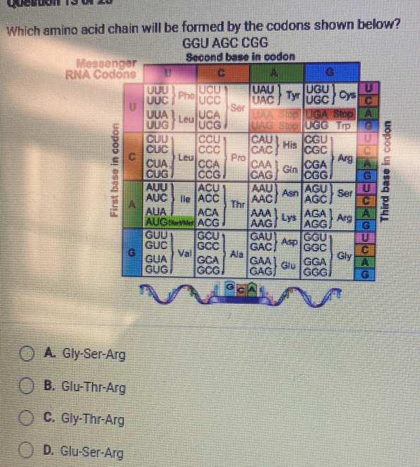 queston 13 o .
Which amino acid chain will be formed by the codons shown below?
GGU AGC CGG
Mess
RNA Co
A. Gly-Ser-Arg
B. Glu-Thr-Arg
C. Gly-Thr-Arg
D. Glu-Ser-Arg