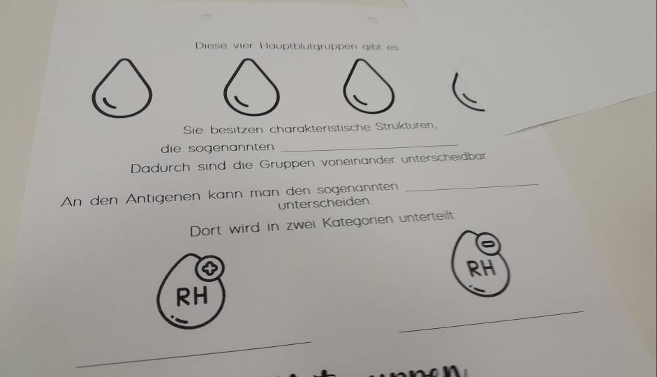 Diese vier Hauptblutgruppen gibt es 
Sie besitzen charakteristische Strukturen, 
die sogenannten 
_ 
Dadurch sind die Gruppen voneinander unterscheidbar 
An den Antigenen kann man den sogenannten 
_ 
unterscheiden 
Dort wird in zwei Kategorien unterteilt 
RH 
_ 
RH 
_ 
n