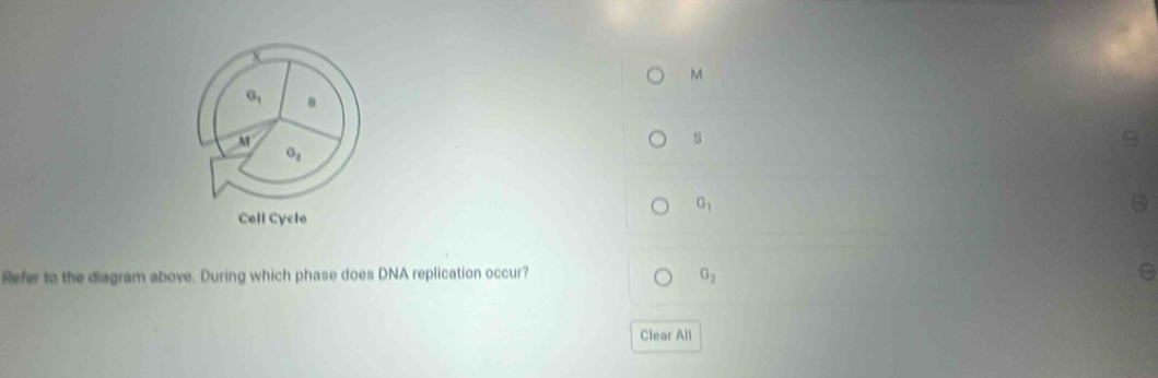 a_1
1 
s
o_1
G_1
Cell Cycle 
Refer to the diagram above. During which phase does DNA replication occur? G_2
Clear All
