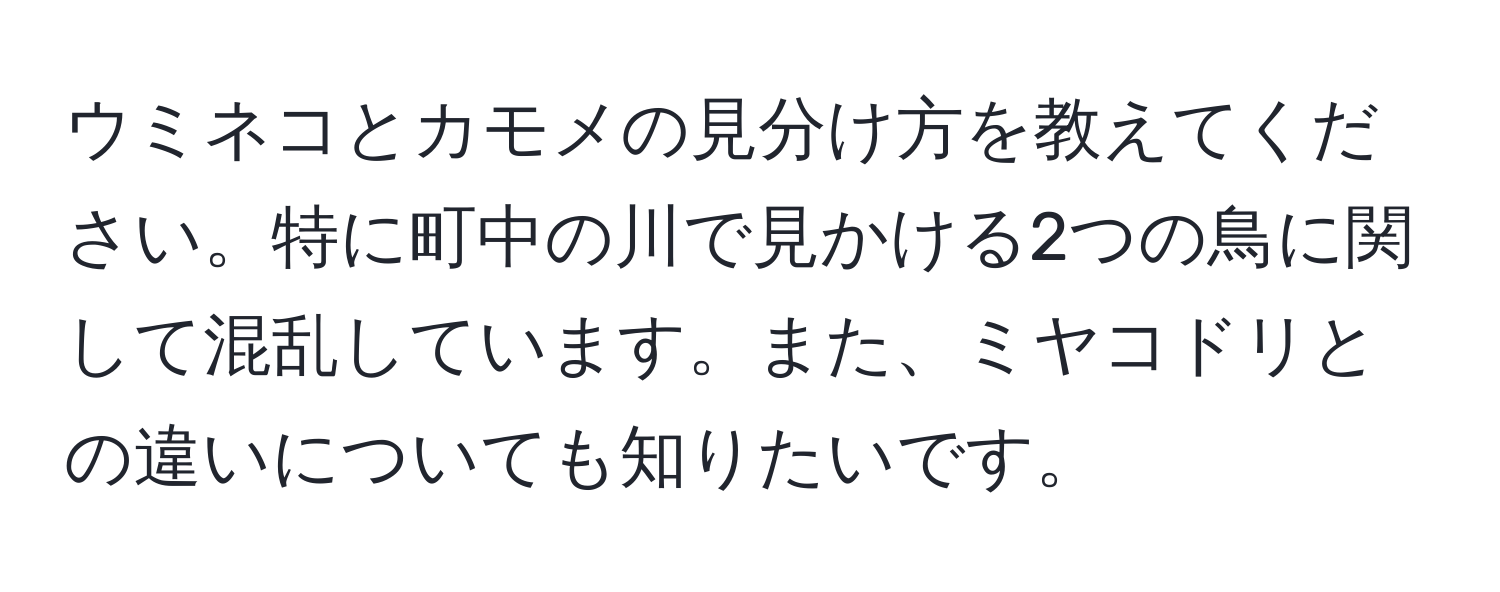 ウミネコとカモメの見分け方を教えてください。特に町中の川で見かける2つの鳥に関して混乱しています。また、ミヤコドリとの違いについても知りたいです。