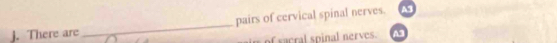 pairs of cervical spinal nerves. 
j. There are 
_ 
of sacral spinal nerves.