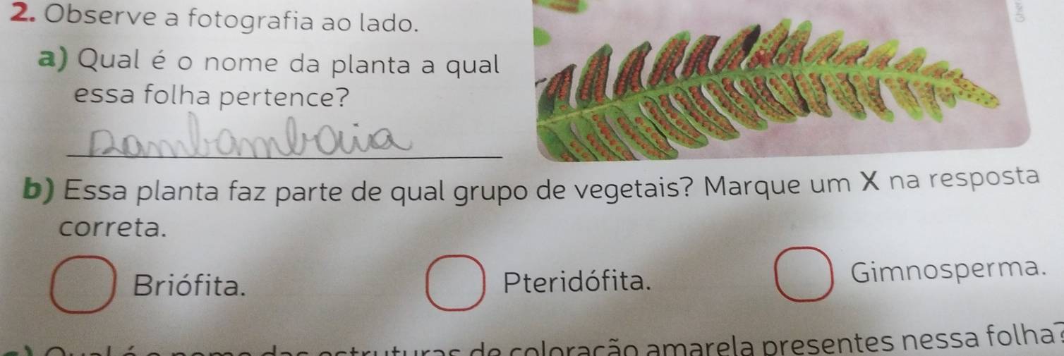 Observe a fotografia ao lado.
a) Qual é o nome da planta a qual
essa folha pertence?
_
b) Essa planta faz parte de qual grupo de vegetais? Marque um X na resposta
correta.
Briófita. Pteridófita. Gimnosperma.
de coloração amarela presentes nessa folha