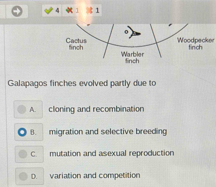 4 1 1
Woodpecker
Galapagos finches evolved partly due to
A. cloning and recombination
B. ₹migration and selective breeding
C. mutation and asexual reproduction
D. variation and competition