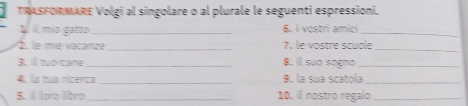 TRASFORMARE Volgi al singolare o al plurale le seguenti espressioni. 
1 ill mio gatto_ 6. i vostri amici_ 
2, le mie vacanze_ 7. le vostre scuole_ 
3, ill two came _8. il suo sogno_ 
4, la tua ricerca _9. la sua scatola_ 
5. il loro libro _10. il nostro regalo_