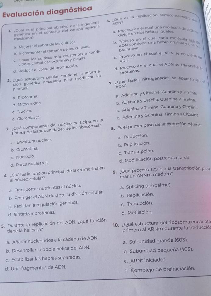 Evaluación diagnóstica
6. ¿Qué es la replicación semiconservativa del
a. Proceso en el cual una molécula de ADN  % a
1¿Cuál es el principal objetivo de la ingeniería ADN?
genética en el contexto del campo agrícola
mexicano? divide en dos hebras iguales.
a. Mejorar el sabor de los cultivos.
b. Proceso en el cual cada molécula hija de
ADN contiene una hebra original
b. Incrementar el tamaño de los cultivos.
c. Hacer los cultivos más resistentes a condi- bra nueva.
ciones climáticas extremas y plagas. c. Proceso en el cual el ADN se convierte en
d. Reducir el costo de producción. ARN.
d. Proceso en el cual el ADN se transcribe en
2. ¿Qué estructura celular contiene la informa- proteínas.
ción genética necesaria para modificar las
7. ¿Qué bases nitrogenadas se aparean en 
plantas?
ADN?
a. Ribosoma. a. Adenina y Citosina, Guanina y Timina.
b. Mitocondria. b. Adenina y Uracilo, Guanina y Timina.
c. Núcleo. c. Adenina y Timina, Guanina y Citosina
d. Cloroplasto. d. Adenina y Guanina, Timina y Citosina
3. ¿Qué componente del núcleo participa en la
síntesis de las subunidades de los ribosomas? 8. Es el primer paso de la expresión génica:
a. Traducción.
a. Envoltura nuclear.
b. Cromatina. b. Replicación.
c. Transcripción.
c. Nucleolo.
d. Poros nucleares. d. Modificación postraduccional.
4. ¿Cuál es la función principal de la cromatina en 9. ¿Qué proceso sigue a la transcripción para
mar un ARNm maduro?
el núcleo celular?
a. Transportar nutrientes al núcleo.
a. Splicing (empalme).
b. Replicación.
b. Proteger el ADN durante la división celular.
c. Facilitar la regulación genética. c. Traducción.
d. Sintetizar proteínas.
d. Metilación.
5. Durante la replicación del ADN, ¿qué función
tiene la helicasa? 10. ¿Qué estructura del ribosoma eucariota
primero al ARNm durante la traducción
a. Añadir nucleótidos a la cadena de ADN.
a. Subunidad grande (60S).
b. Desenrollar la doble hélice del ADN.
b. Subunidad pequeña (40S).
c. Estabilizar las hebras separadas.
c. ARNt iniciador.
d. Unir fragmentos de ADN.
d. Complejo de preiniciación.