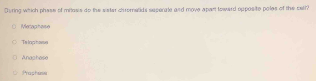 During which phase of mitosis do the sister chromatids separate and move apart toward opposite poles of the cell?
Metaphase
Telophase
Anaphase
Prophase