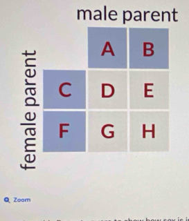 male parent 
Q Zoom