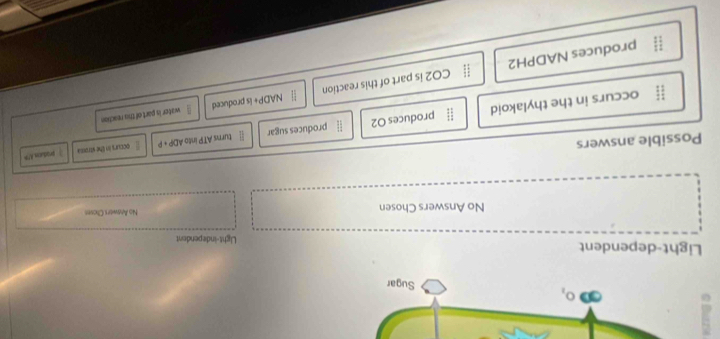 m O_1
Sugar
Light-dependent Light-independent
No Answers Chosen No Anwers Choven
Possible answers
turns ATP into ADP+P occurs in the strossa produceAPB
ii occurs in the thylakoid :1 produces O2 [] produces sugar
NADP+ is produced wator is part of ths reaction
 11/11  produces NADPH2 beginarrayr 11 11endarray CO2 is part of this reaction