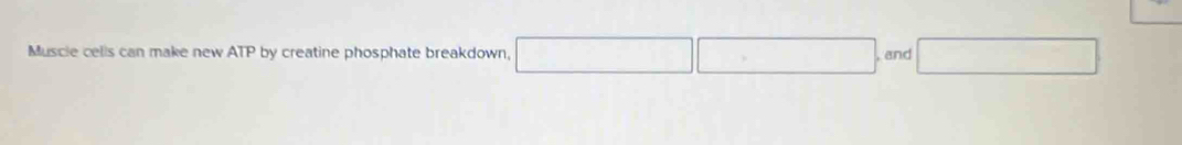 Muscie cells can make new ATP by creatine phosphate breakdown, □ and