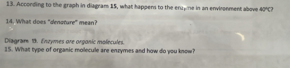 According to the graph in diagram 15, what happens to the enzyme in an environment above 40°C ? 
14. What does “denature” mean? 
Diagram 19. Enzymes are organic molecules. 
15. What type of organic molecule are enzymes and how do you know?