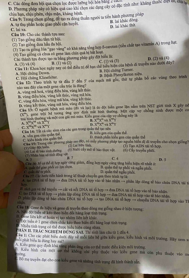C. Các dòng đơn bội qua chọn lọc được lưỡng bội hóa bằng 2 các
D. Phương pháp này có hiệu quả cao khi chọn các dạng cây có đặc tính như: kháng thuộc điệt co, chịu lạn
chịu hạn, chịu phèn, chịu mặn, kháng bệnh.
Câu 9: Trong chọn giống, đề tạo ra dòng thuần người ta tiến hành phương pháp
B. lai khác dòng.
A. tự thụ phần hoặc giao phối cận huyết.
D. lai khác thứ.
C. lai xa.
Câu 10: Cho các thành tựu sau:
(1) Tạo giống dâu tầm tứ bội.
(2) Tạo giống dưa hầu đa bội.
(3) Tạo ra giống lúa “gạo vàng” có khả năng tổng hợp β-caroten (tiền chất tạo vitamin A) trong hạt.
(4) Tạo giống cà chua có gene làm chín quả bị bất hoạt.
Các thành tựu được tạo ra bằng phương pháp gây đột biển là:
A. (3) và (4) B. (1) và (2) C. (1) và (3) D. (2) và (4)
Câu 11: Khoa học ngày nay có thể điều trị để hạn chế biểu hiện của bệnh di truyền nào dưới đây?
A. Hội chứng Down. B. Hội chứng Turner.
D. Bệnh Phenylketon niệu.
C. Hội chứng Klinefelter. đến 5' của mạch mã gốc, thứ tự phân bố các vùng theo trình
Cậu 12: Theo trình tự từ đầu 3'
nào sau đây của một gene cầu trúc là đúng?
A. vùng mã hoá, vùng điều hòa, vùng kết thúc.
B. vùng điều hòa, vùng kết thúc, vùng mã hóa.
C. vùng điều hòa, vùng mã hóa, vùng kết thúc.
D. vùng kết thúc, vùng mã hóa, vùng điều hòa.
Câu 13: Ở người bệnh mù màu (đỏ và lục) là do đột biến gene lặn nằm trên NST giới tính X gây nê
(X^m) 0, gene trội M tương ứng quy định mắt bình thường. Một cặp vợ chồng sinh được một cơ
trai bình thường và một con gái mù màu. Kiểu gene của cặp vợ chồng này là
A. X^MX^M và X^M Y B. X^MX^m và X^MY
C. X^MX^M và X^mY D. X^MX^m và X^mY
Câu 14: Tất cả các alen của các gen trong quần thể tạo nên
B. kiểu gen của quần thể.
A. vốn gen của quần thể. D. thành phần kiểu gen của quần thể
C. kiểu hình của quần thể,
Cầu 15: Trong các phương pháp sau đây, có mấy phương pháp tạo nguồn biến dị di truyền cho chọn giống?
(1) Gây đột biển. (2) Lai hữu tính.
(3) Tạo ADN tái tổ hợp.
(4) Lai tế bào sinh dưỡng. (5) Nuôi cấy mô tế bào thực vật. (6) Cấy truyền phôi.
(7) Nhân bản vô tính động vật.
A. 3
B. 7 C. 4 D. 5
Câu 16: Số cá thể đị hợp ngày cảng giảm, đồng hợp ngày cảng tăng biểu hiện rõ nhất ở:
A. quần thể giao phối có lựa chọn. B. quần thể tự phối và ngẫu phối.
C. quần thể tự phối. D. quần thể ngẫu phối.
Câu 17: Các bước tiền hành trong kĩ thuật chuyền gen theo trình tự là:
A. tạo DNA tái tổ hợp → đưa DNA tái tổ hợp vào tế bào nhận → phân lập dòng tế bào chứa DNA tái tổ
hợp.
B. tách gen và thể truyền → cắt và nối DNA tái tổ hợp → đưa DNA tái tổ hợp vào tế bào nhận.
C. tạo DNA tái tổ hợp → phân lập dòng DNA tái tổ hợp → đưa DNA tái tổ hợp vào tế bào nhận.
D. phân lập đòng tế bảo chứa DNA tái tổ hợp → tạo DNA tái tổ hợp → chuyển DNA tái tổ hợp vào Th
nhận.
Câu 18: Gene đa hiệu và gene di truyền theo dòng mẹ giống nhau ở hiện tượng:
A. Nếu đột biến sẽ kéo theo biến đối hàng loạt tính trạng.
B. Gene liên kết sẽ hoán vị tạo nhóm liên kết khác.
C. Đột biến ở 1 gene chưa chắc kéo theo biến đồi hàng loạt tính trạng.
D. Nhiều tính trạng có thể được biểu hiện cùng nhau.
PHÀN II. TRÁC NGHIỆM ĐÚNG SAI. Thí sinh làm câu từ 1 đến 4.
Câu 1: Cho các phát biểu dưới đây về mối liên hệ giữa kiểu gene, kiểu hình và môi trường. Hãy xem xỉ
mỗi phát biểu là đúng hay sai?
A. Kiểu gene quy định khả năng phản ứng của cơ thể trước điều kiện môi trường.
B. Kiểu hình của một cơ thể không chỉ phụ thuộc vào kiểu gene mà còn phụ thuộc vào m
trường.
C. Bổ mẹ truyền đạt cho con kiểu gene và những tính trạng đã hình thành sẵn.