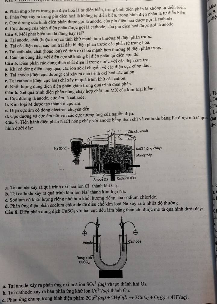 a. Phản ứng xảy ra trong pin điện hoá là tự diễn biến, trong bình điện phân là không tự diễn biển. Màu
b. Phản ứng xảy ra trong pin điện hoá là không tự diễn biến, trong bình điện phân là tự diễn biến.
c. Cực dương của bình điện phân được gọi là anode, của pin điện hoá được gọi là cathode.
c điệ iu 9.
d. Cực dương của bình điện phân được gọi là cathode, của pin điện hoá được gọi là anode.
Câu 4. Mỗi phát biểu sau là đúng hay sai?
a. Tại anode, chất (hoặc ion) có tính khử mạnh hơn thường bị điện phân trước.
b. Tại các điện cực, các ion trái dấu bị điện phân trước các phần tử trung hoà.
c. Tại cathode, chất (hoặc ion) có tính oxi hoá mạnh hơn thường bị điện phân trước.
d. Các ion cùng dấu với điện cực sẽ không bị điện phân tại điện cực đó.
Câu 5. Điện phân các dung dịch chất điện li trong nước với các điện cực trơ.
a. Khi có dòng điện chạy qua, các ion sẽ di chuyển về các điện cực cùng dấu.
b. Tại anode (điện cực dương) chỉ xảy ra quá trình oxi hoá các anion.
c. Tại cathode (điện cực âm) chỉ xảy ra quá trình khử các cation.
d. Khối lượng dung dịch điện phân giảm trong quá trình điện phân.
Câu 6. Xét quả trình điện phân nóng chảy hợp chất ion MX của kim loại kiểm:
a. Cực dương là anode, cực âm là cathode.  Tạ  Tạ
b. Kim loại M được tạo thành ở cực âm.
c. Điện cực âm có dòng electron chuyển đến.
: Ph
d. Cực dương và cực âm nối với các cực tương ứng của nguồn điện.
J. L
Câu 7. Tiến hành điện phân NaCl nóng chảy với anode bằng than chì và cathode bằng Fe được mô tả qua Câu
y:
hình dưới đây:
a. Tại anode xảy ra quá trình oxi hóa ion Cl¯ thành khí Cl_2.
b. Tại cathode xảy ra quá trình khử ion Na* thành kim loại Na.
e. Sodium có khối lượng riêng nhỏ hơn khối hượng riêng của sodium chloride.
d. Phản ứng điện phân sodium chloride để điều chế kim loại Na xảy ra ở nhiệt độ thường.
Câu 8. Điện phân dung dịch CuSO_4 * với hai cực đều làm bằng than chì được mô tả qua hình dưới đây:
a. Tại anode xảy ra phản ứng oxi hoá ion SO_4^((2-)(aq) và tạo thành khiO_2).
b. Tại cathode xảy ra bán phản ứng khử ion Cu^(2+)(aq) thành Cu.
c. Phản ứng chung trong bình điện phân: 2Cu^(2+)(aq)+2H_2O(l)to 2Cu(s)+O_2(g)+4H^+(aq).