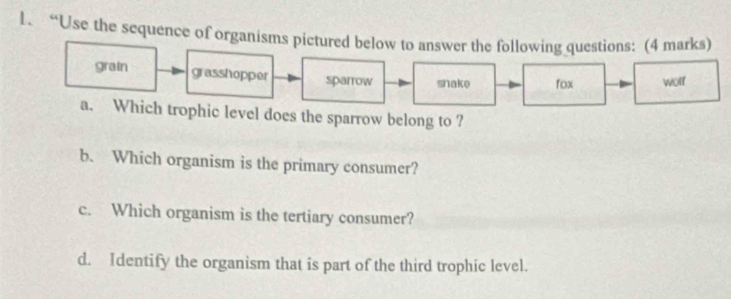 “Use the sequence of organisms pictured below to answer the following questions: (4 marks) 
grain grasshopper sparrow snake wolf 
fox 
a. Which trophic level does the sparrow belong to ? 
b. Which organism is the primary consumer? 
c. Which organism is the tertiary consumer? 
d. Identify the organism that is part of the third trophic level.