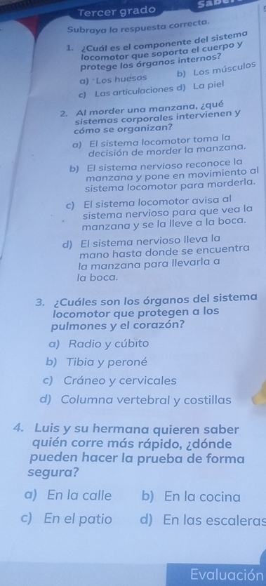 Tercer grado Sade
Subraya la respuesta correcta.
1. ¿Cuál es el componente del sistema
locomotor que soporta el cuerpo y
protege los órganos internos?
b) Los músculos
a) Los huesos
c) Las articulaciones d) La piel
2. Al morder una manzana, ¿qué
sistemas corporales intervienen y
cómo se organizan?
a) El sistema locomotor toma la
decisión de morder la manzana.
b) El sistema nervioso reconoce la
manzana y pone en movimiento al
sistema locomotor para morderla.
c) El sistema locomotor avisa al
sistema nervioso para que vea la
manzana y se la lleve a la boca.
d) El sistema nervioso lleva la
mano hasta donde se encuentra
la manzana para llevarla a
la boca.
3. ¿Cuáles son los órganos del sistema
locomotor que protegen a los
pulmones y el corazón?
a) Radio y cúbito
b) Tibia y peroné
c) Cráneo y cervicales
d) Columna vertebral y costillas
4. Luis y su hermana quieren saber
quién corre más rápido, ¿dónde
pueden hacer la prueba de forma
segura?
a) En la calle b) En la cocina
c) En el patio d) En las escaleras
Evaluación