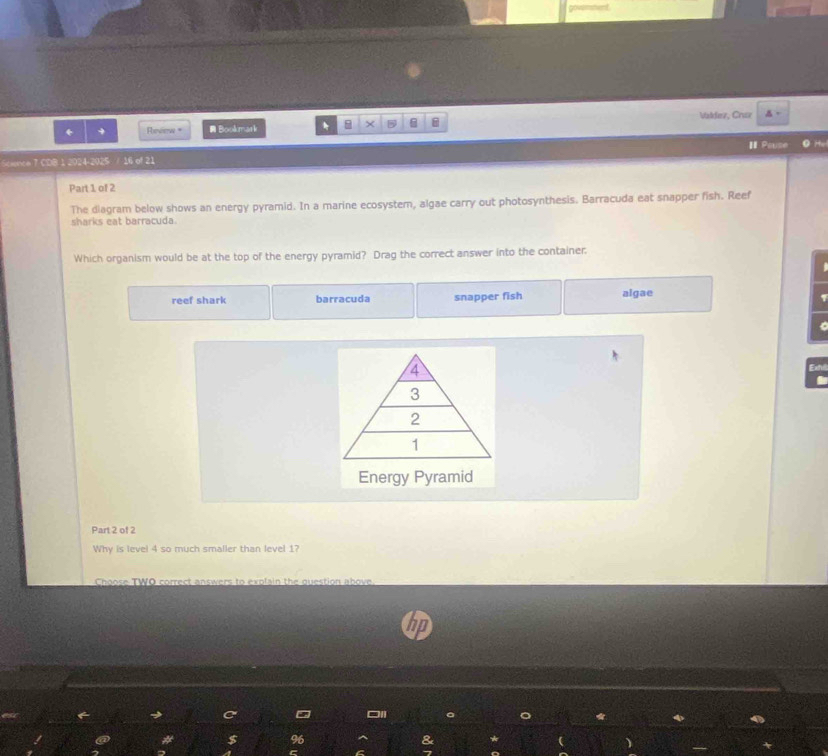 Vldez, Craz
← + Revew + Bookmark 5 。
I Pouse
Science 7 CDB 1 2024-2025 / 16 of 21
Part 1 of 2
The diagram below shows an energy pyramid. In a marine ecosystem, algae carry out photosynthesis. Barracuda eat snapper fish. Reef
sharks eat barracuda.
Which organism would be at the top of the energy pyramid? Drag the correct answer into the container:
reef shark barracuda snapper fish algae
a
Exthil
Energy Pyramid
Part 2 of 2
Why is level 4 so much smaller than level 1?
Choose TWO correct answers to explain the question above.
